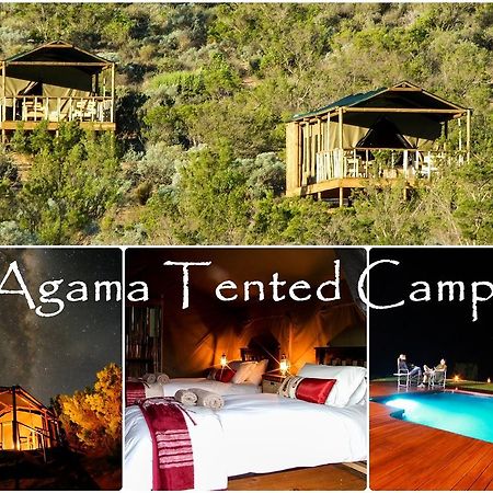 Agama Tented Camp Garies Dış mekan fotoğraf