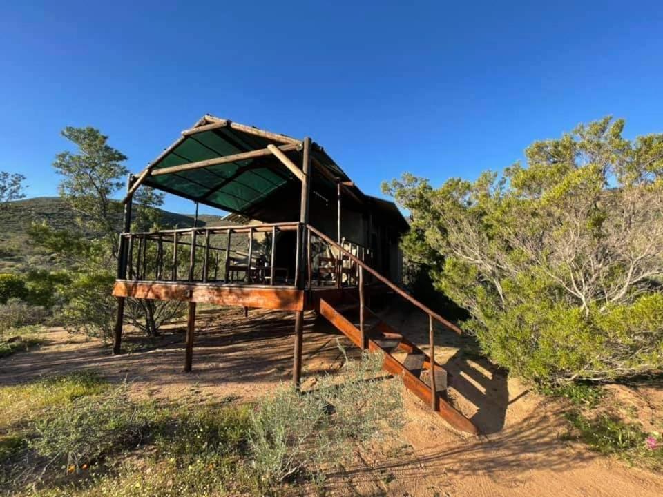 Agama Tented Camp Garies Dış mekan fotoğraf