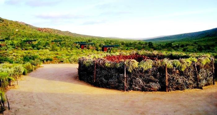 Agama Tented Camp Garies Dış mekan fotoğraf
