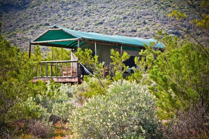 Agama Tented Camp Garies Dış mekan fotoğraf