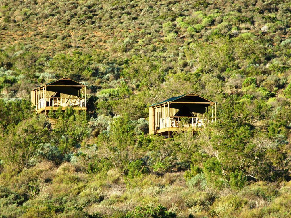 Agama Tented Camp Garies Dış mekan fotoğraf