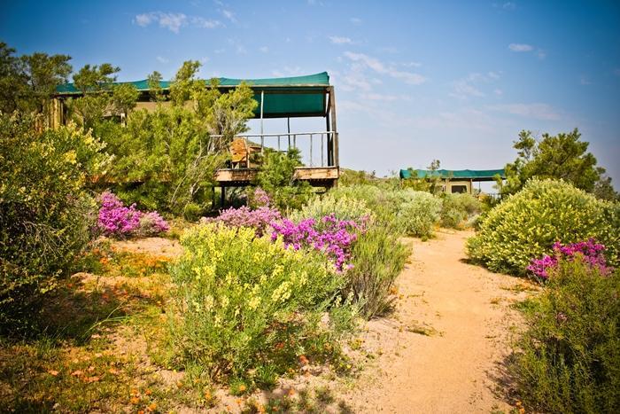 Agama Tented Camp Garies Dış mekan fotoğraf