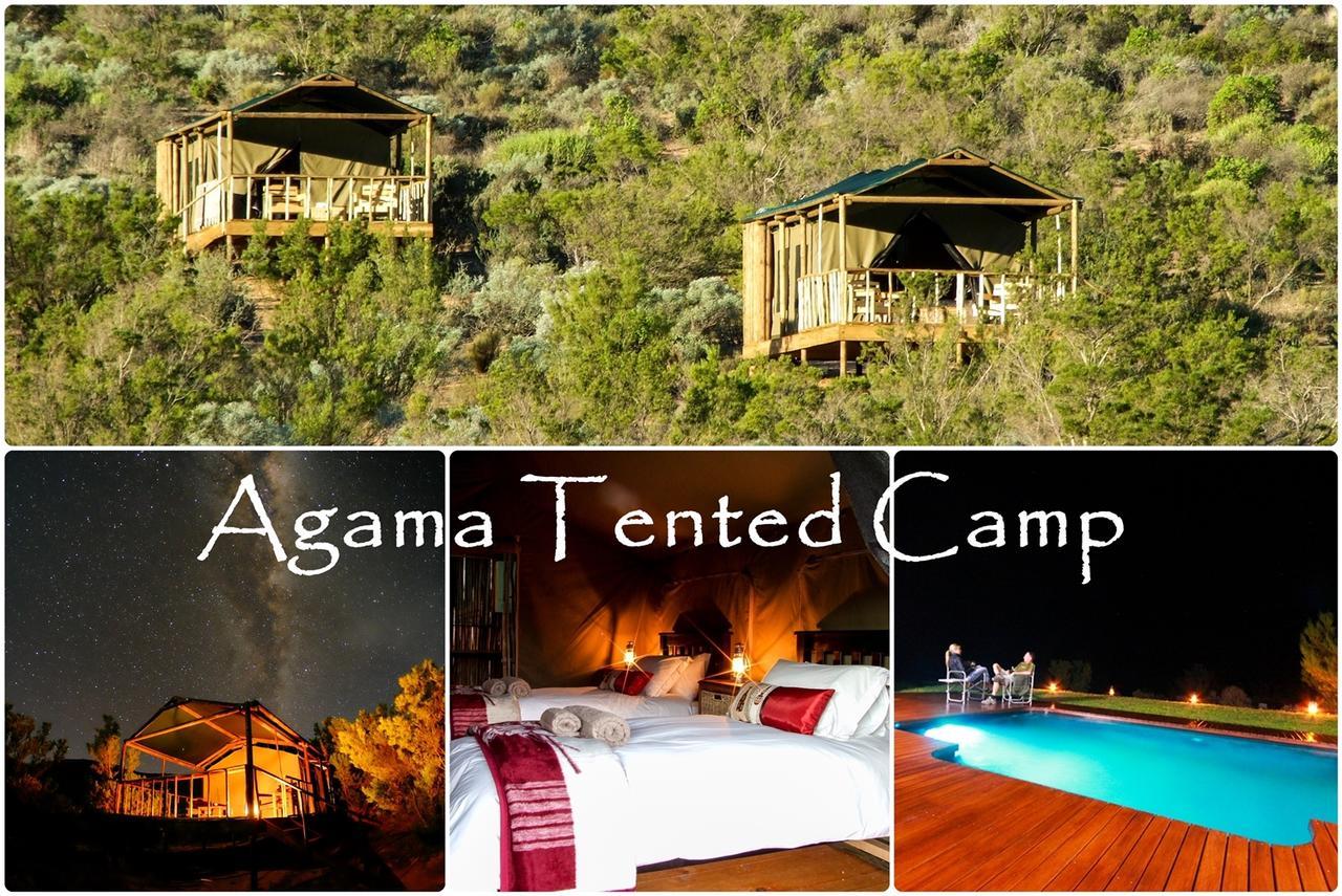Agama Tented Camp Garies Dış mekan fotoğraf